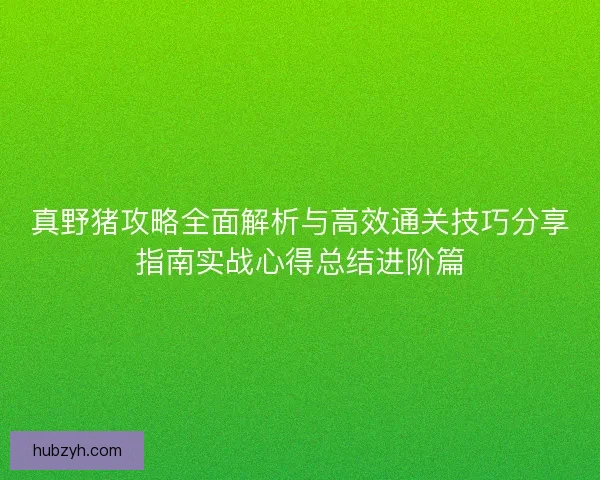 真野猪攻略全面解析与高效通关技巧分享指南实战心得总结进阶篇